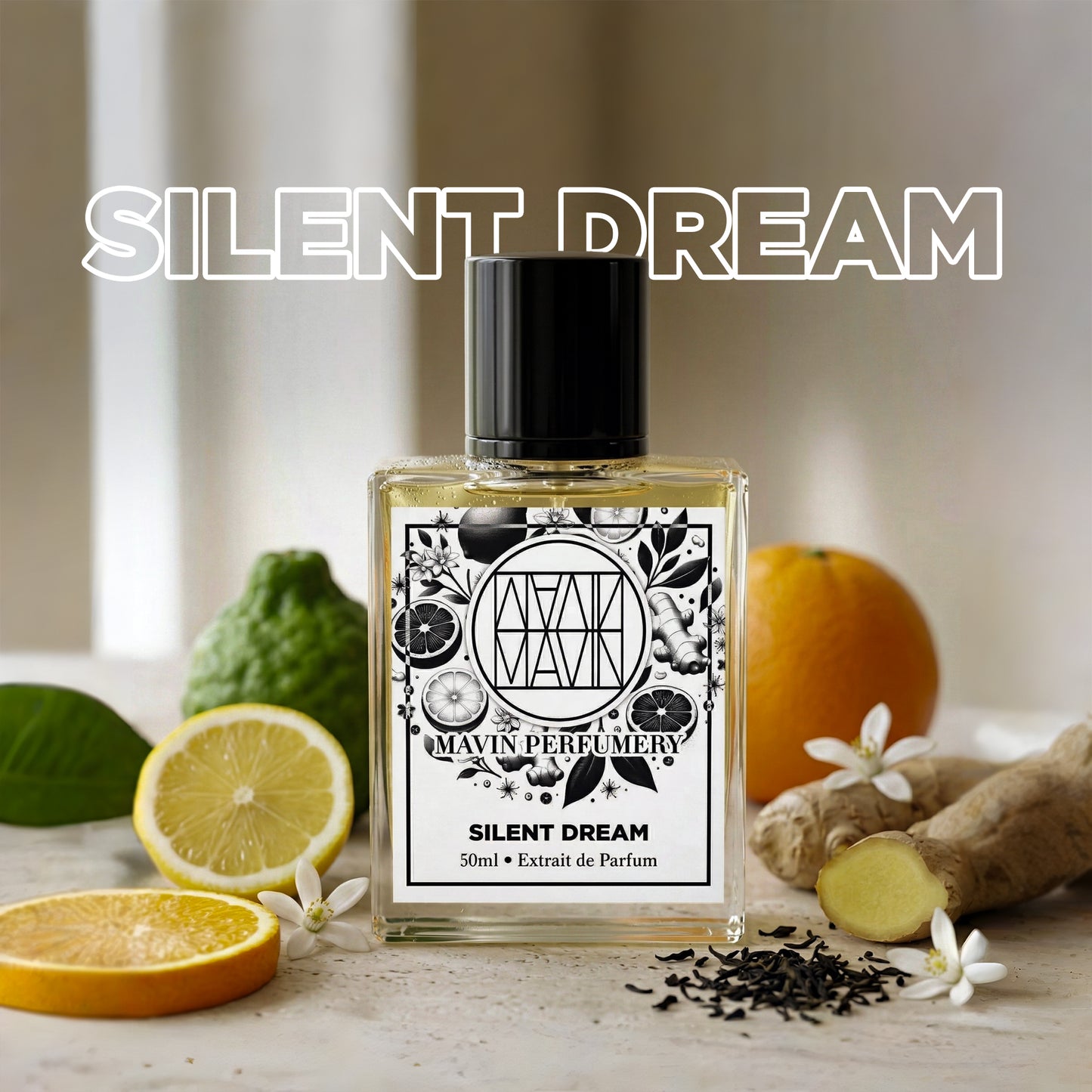 Silent Dream